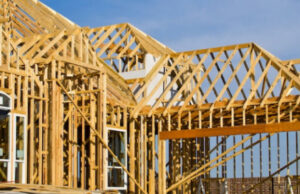 Россиянам не из чего строить — в стране дефицит древесины