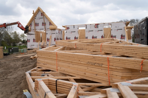 Россиянам не из чего строить — в стране дефицит древесины