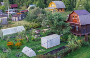 Садоводов хотят обеспечивать водой, светом и газом бесплатно