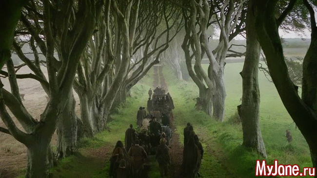 Таинственная аллея Дарк Хеджес