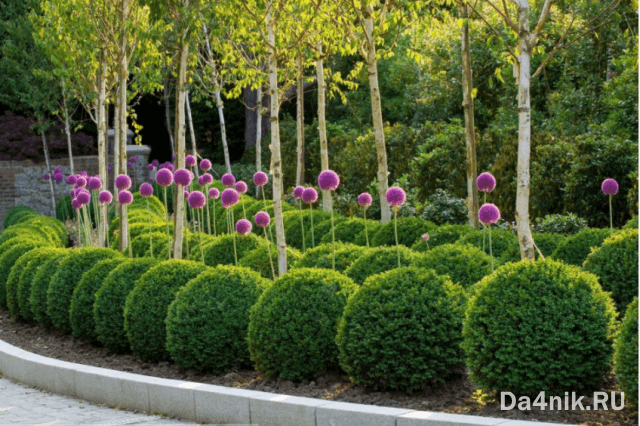 Туи в ландшафтном дизайне