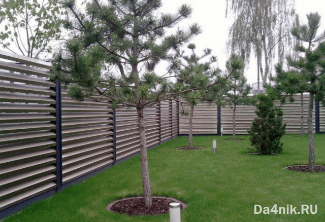 Высота забора между соседями по закону на 2021 год