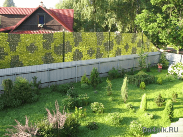 Высота забора между соседями по закону на 2021 год