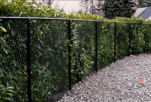 Высота забора между соседями по закону на 2021 год