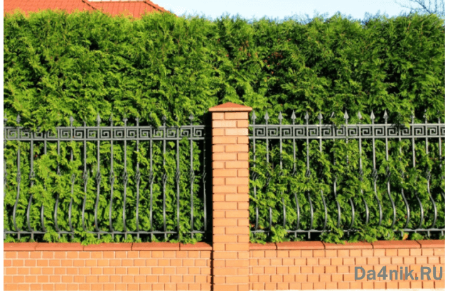 Высота забора между соседями по закону на 2021 год
