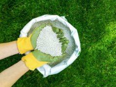 Селитра аммиачная – свойства и применение