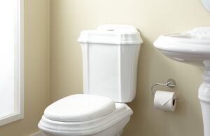 Как выбрать хороший унитаз