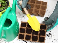 Полезные советы огородникам и садоводам