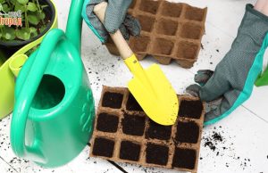 Полезные советы огородникам и садоводам