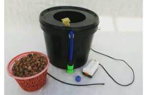 Что такое гидропоника и почему она подходит для дома