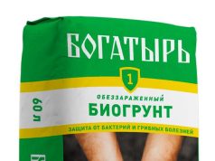 Грунт для растений: основа здоровья вашего сада