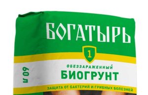 Грунт для растений: основа здоровья вашего сада