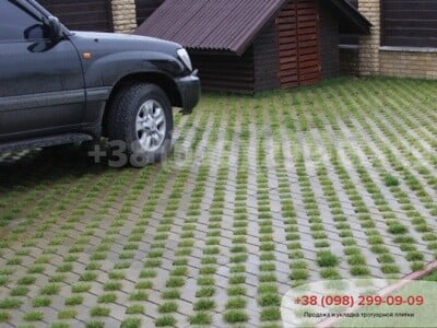 trotuarnaya-plitka-parkovochnaya-reshetka-gorchichnaya-2-400x300