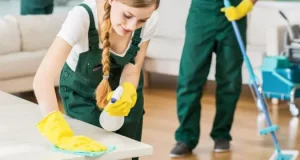 Клининг: современное решение для чистоты
