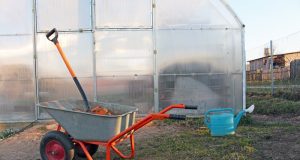 Чем обработать теплицу весной от болезней и вредителей