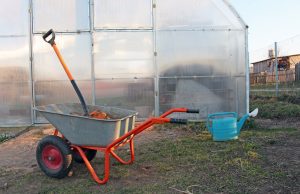 Чем обработать теплицу весной от болезней и вредителей