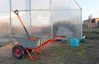 Чем обработать теплицу весной от болезней и вредителей