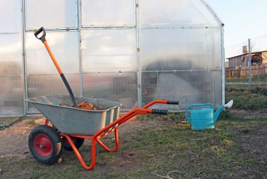 Чем обработать теплицу весной от болезней и вредителей