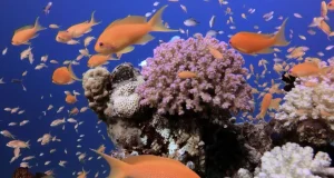 Куда поехать в отпуск на пляж в 2026 году: 5 направлений