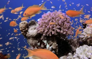 Куда поехать в отпуск на пляж в 2026 году: 5 направлений